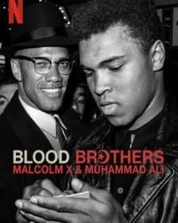 Братья по крови: Малкольм Икс и Мохаммед Али (2021) смотреть онлайн
